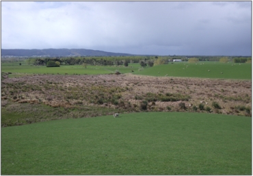 Stirling Marsh Complex (October 2009)