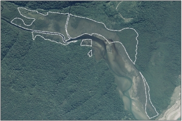 Aerial view of Tautuku River Mouth Marsh (2006)