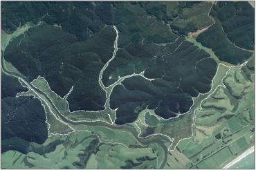 Aerial view of Tokomairiro River Swamp (March 2006)