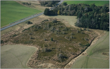 Willowburn Bog (March 2008)