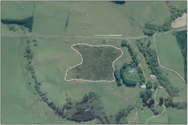 Aerial view of Willowburn Bog (March 2006)