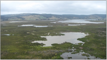 Waipori/Waihola Wetland Complex, looking South at Lake Waihola (February 2009)