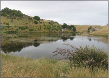 Devils Bridge Wetland (January 2010)