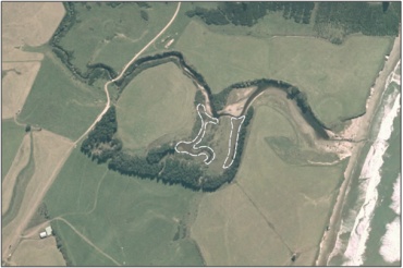 Aerial View of Kakaho Creek Swamp (March 2005)