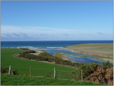 Waianakarua River Estuary Swamp (May 2010)