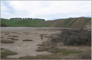 Pleasant River Estuary Wetland Complex (2009)