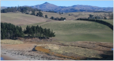 Tavora wetland and mouth of the stream (2012)