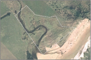 Aerial View of Tavora Wetland