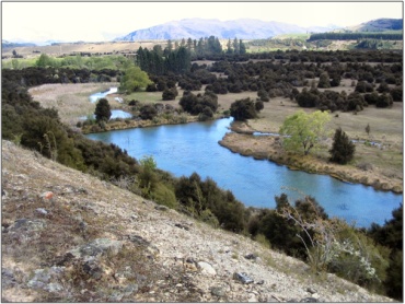 Butterfield Wetland (October 2006)