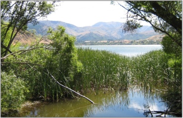 Lake Hayes Margins (February 2007)