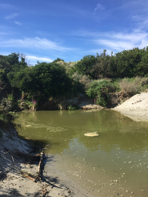 Tomahawk Lagoon