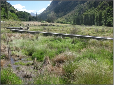 Matakauri Wetland (December 2010)