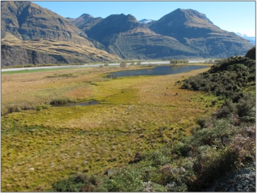 Matukituki Valley Wetland Management Area (April 2010)