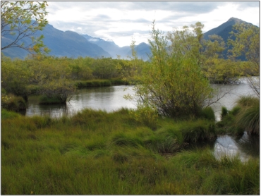 Glenorchy Lagoon Wetland (2011)