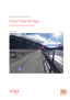 Cover QLDC Rees River Bridge Options Assessment 2023