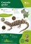 ORC Cascade Gecko A4 2024 (1)