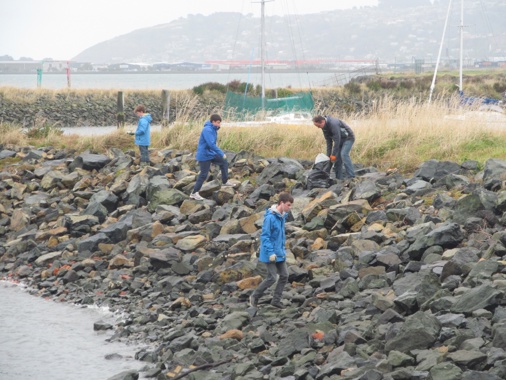 Cleaning the beach