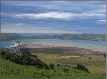 Aramoana Saltmarsh (2007) “51”