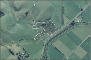 Aerial View of Braeside Swamp (March 2006)