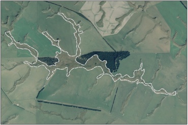 Aerial View of Fortification Stream Headwaters Swamp (March 2006)