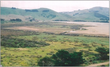 Hoopers Inlet Swamp (2005) “51”