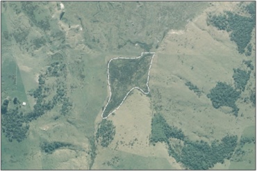 Aerial View of Jennings Creek Marsh  (April 2006)