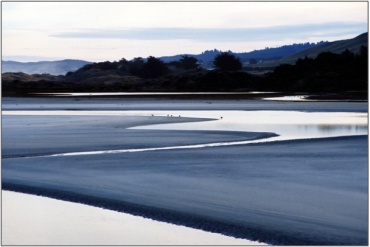 Kaikorai Lagoon Swamp (July 2005) “51”