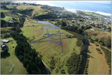 Lower Otokia Creek Marsh (2008) “2”