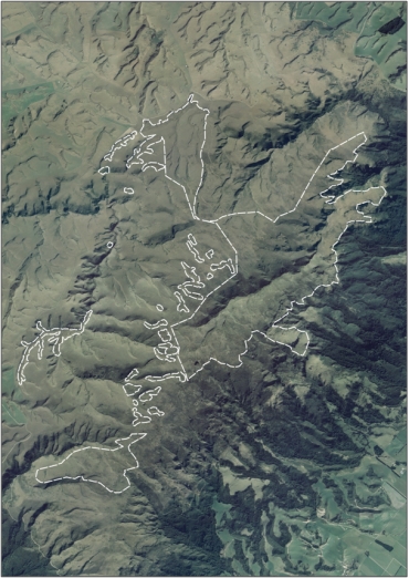 Aerial view of Maungatua Summit Wetland Management Area (March 2006)