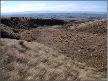 Maungatua Summit Wetland Management Area (September 2009) “51”