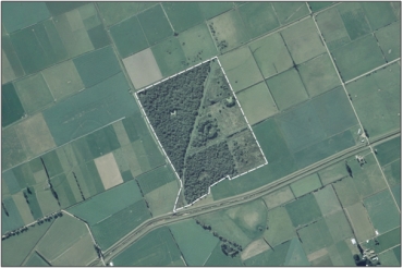 Aerial View of McKays Triangle Wetland (March 2006)