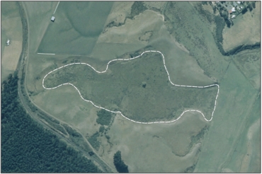 Aerial view of McLachlan Road Marsh (March 2006)