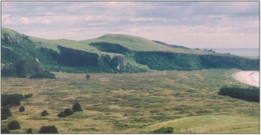 Okia Flat Wetland Management Area (2005) “51”