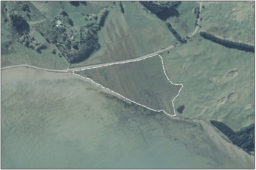 Aerial View of Papanui Inlet Saltmarsh (March 2006)