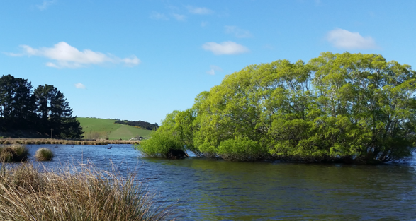 Lake Tuakitoto