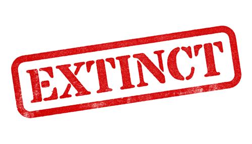 Extinct Red Rubber Stamp Isolated On Transparent Background With Distressed Texture Effect Adobestock 616177333