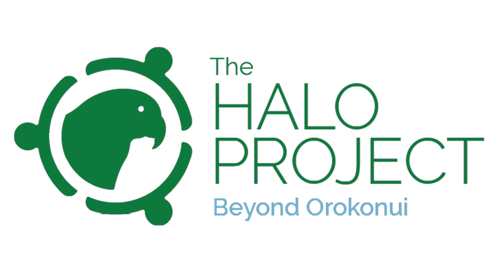 The Halo Project Logo 1920X1080