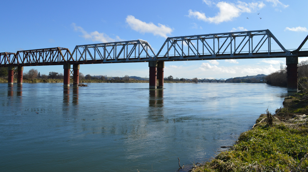 Clutha River Bridge