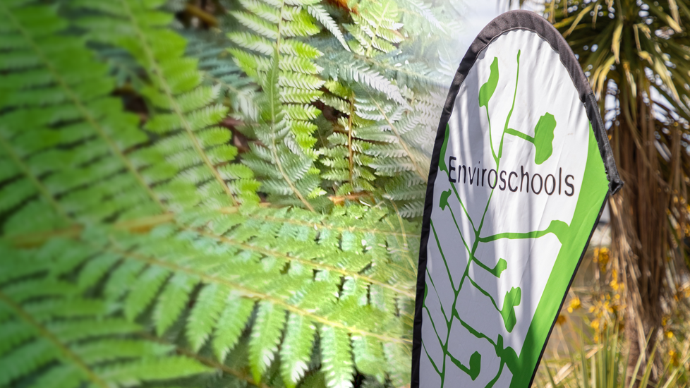 Enviroschools Banner For Web