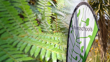 Enviroschools Banner For Web