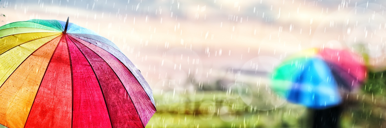 umbrellas AdobeStock_122338806