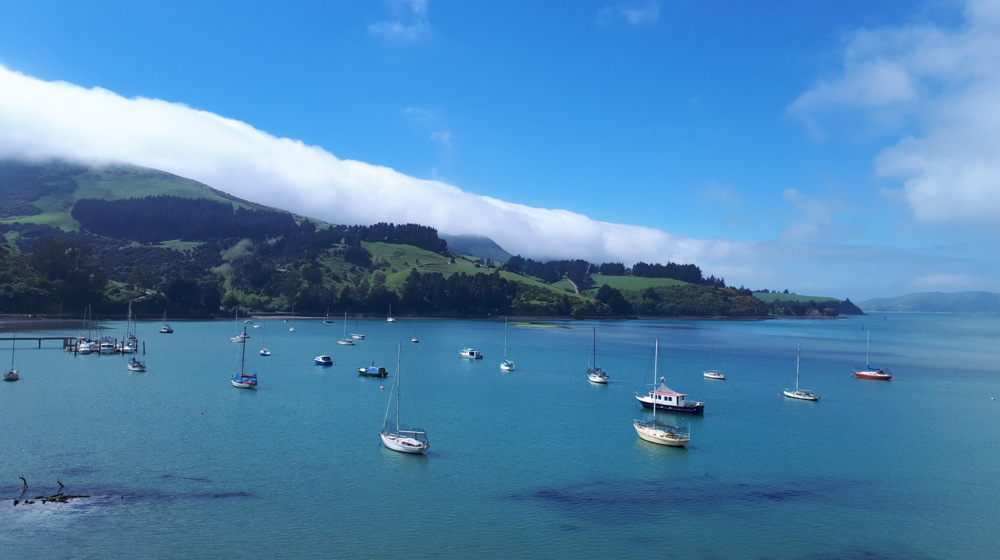 boats anchored in harbour 20171010_142231_142231.jpg