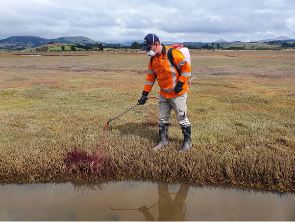 Kirk Robertson Spraying Spartina