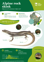 Orc Alpine Rock Skink A4 2024
