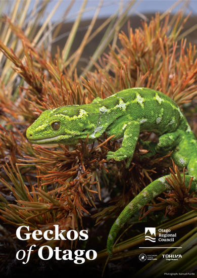 Cover Geckos Of Otago Guide