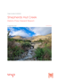 Cover Shepherds Hut Creek Debris Flow Report 2022