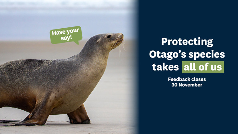 Image of NZ seal on beach test