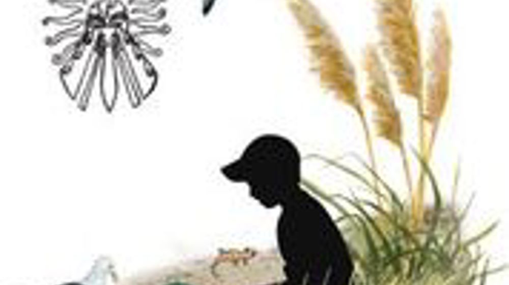 Find Out More About Rooks
