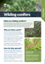 Wilding Conifer Plant And Pest Fact Sheets A4 250813 Cover Page 1