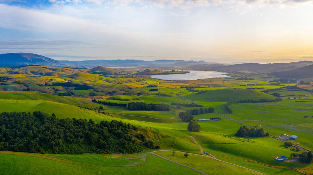 Lake Waihola From Circle Hill Milburn Adobestock 355582282